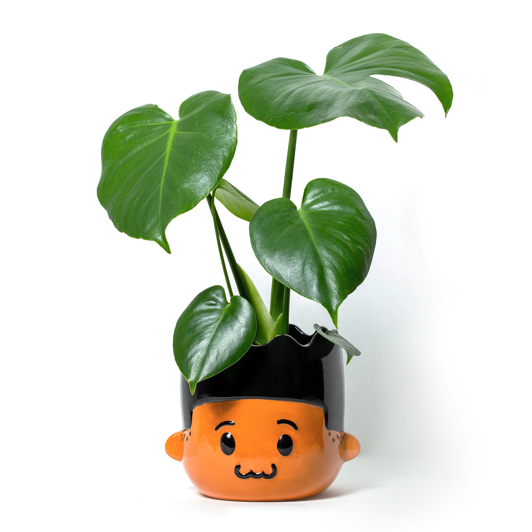 plant pot 5 inch Dre Ceramic Boy Head Planter for 5-inch Pot – Zuri & Dre