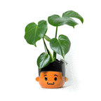 Dre Ceramic Boy Head Planter for 5-inch Pot